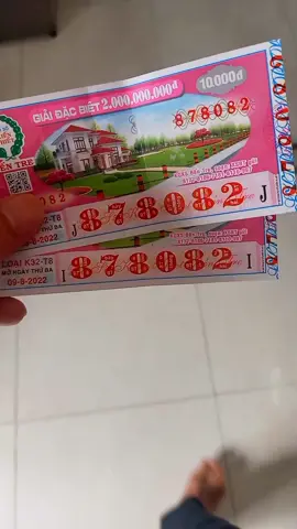 ĐÚNG HAY SAI #thaytrong #LearnOnTikTok #trending #hoccungtiktok #tuoihoctro #xuhuong #toanthaytrong #veso