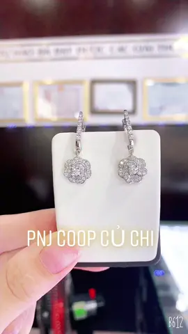 Bông tai khoen kim cương #pnj #pnjcoopcuchi