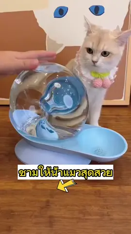 รูปหอยทากชามให้น้ำออโต้ ไม่ใช้ไฟ#รีวิวของแมวแมว #ทาสแมว