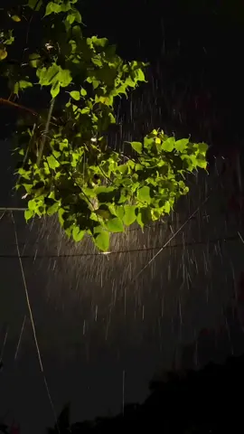 the sounds of rain will forever be calming. #rain #vibes #night