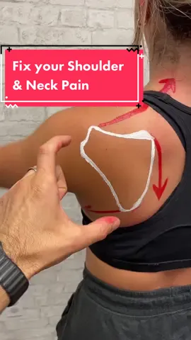 Top of the shoulder and neck on fire?  Also experiencing headaches?  We must make sure your scapula (shoulder blade) is moving properly.  If this sounds like, you try the two exercises in the video!  #neckpain #neckpainrelief #shoulderpain #migrainerelief #shoulderpainrelief #tensionheadaches #shoulderexercises #lowertrapezius #serratusanterior #rotatorcuffexercises #shouldermobility #wyckoffnj #franklinlakesnj #oaklandnj #midlandparknj #glenrocknj #ridgewoodnj #uppertrapezius #trapeziusmuscle #naturalpainrelief #skylinept #skylinephysicaltherapy #uppertrapeziusstretch  #physicaltherapy #physicaltherapist