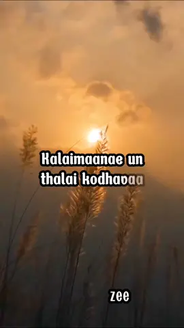 #hazeeraayaz #tamillovesong #tamilhits #taalam #arrahman #hariharan