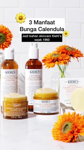 Tau kan sekarang alasannya kenapa #Calendula di percaya jadi bahan skincare Kiehl’s sejak tahun 1960an 🌼✨ #KiehlsID #pakekiehls #calendulaglow