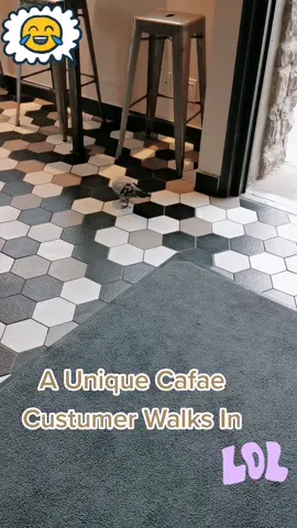 As I was in the cafe getting something I turned around and a pigeon in the shop never I've before have I ever seen a pigeon make it's way in to one of our local coffee shop cafe's before which made this one a funny one saw the pigeon just walking and picking up crumbs off the floor here now I made a little crack up joke which made it sound funny as well made this an lol moment #cafe #local #coffeeshop #megettingsomething #uniquecustumer #interwsting #pigeon #floorcrumbs #carckupjoke #funny #lol #haha #rhysnybo