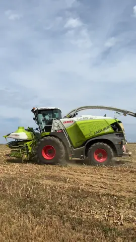 TOP Depart pour les Ensilage de Maïs 2022, c’est sec … ! 🥵                         🚜->@ETA DIDELOT 💨💯 #maïs2022 #ensilage2022 #agri #farm #tractor #claas #pourtoi #foryou