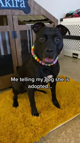 I’m not one to talk about “viral” videos but this one shocked me. 5M likes. 😳@Akira Black Beauty