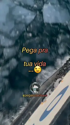 #pegaestachave  #popular #consiencia