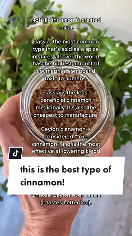 not all cinnamon is created equal ✨ #cinnamon #ceyloncinnamon #herbalist #witchtok #herbalism #naturalmedicine #holisticmedicine #plantmedicine #plantmedicinemagic