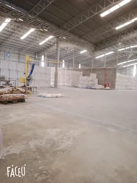 สาวโรงแป้งไทวาแม่สอด