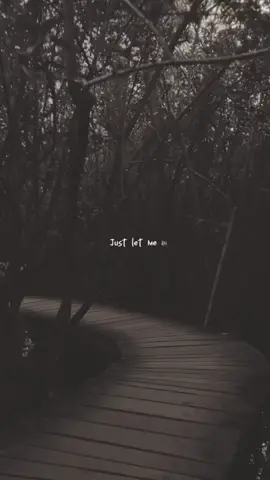 Just let me In | Lilly #srilanka #viral#alanwalker #aesthetic #calm #vibe #fyp #foryou