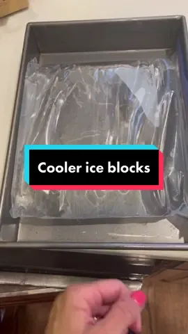 Worked like a charm!  #travel #roadtrip #coolertricks #coolerhack #icehack #timtoktips #hack #hacksoflife #tiktokuniversity #organizedlifecoach #goodorderdc #vacation #traveltips