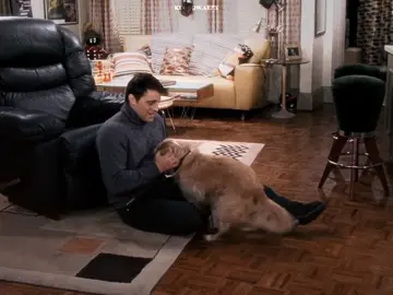 im not responsible for paying for your therapies thank you. #joeytribbiani #rachelgreen #roey #fyp