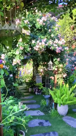 #scenery #flower #garden #💐 #beautiful #❤️ #🌹 #foryou #fyp
