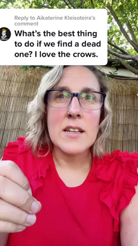 Replying to @Aikaterine Kleisoteira …always leave something good behind. #crowtok #crows #funeral #crowfunerals #dosanddonts #ethics