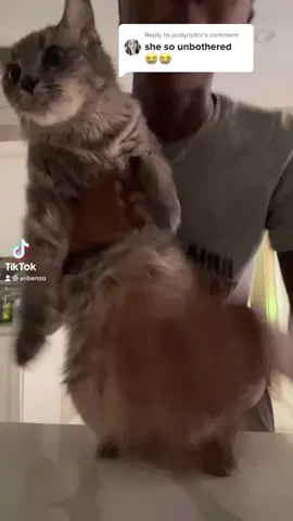 Replying to @jordynofcc i have the best cat 🫶🏾 #fypシ #fyp #trending #nyc #hips