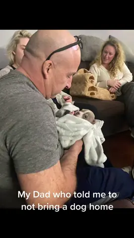 Best buds now #dad #puppies #puppylove #whoops #doggrandpa #levi #americanbully #dogtok #dogsofttiktok #blindbaby #bestfriend