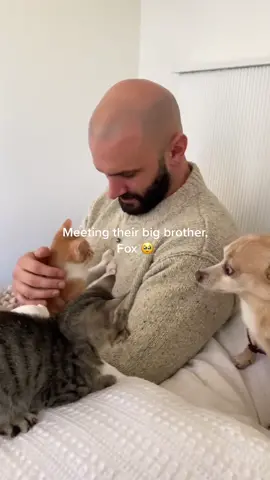 @Hill’s Pet Nutrition is having the largest pet adoption event of the year THIS MONTH from August 1-31! Last year’s event was such a success we hope you’ll take part in this year’s :) to find a participating shelter head to https://www.hillspet.com/new-pet-parent/pet-adoption-resources #findashelter#ad #hillspartner