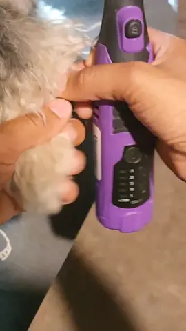 Obsessed with the new Diamondg cordless rotary nail grinder from Groomer's Best Friend 💎