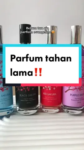 Parfum evangeline aromanya ngga ada yang mengecewakan🫶🏻❤️ #parfumviral #parfumevangeline #parfumereccomended #parfummurah #najmiabeauty #xyzbca #fyp