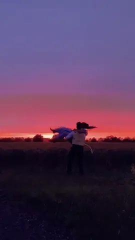 Come with us to film a sunset dance! (Who would you take?!) #sunset #dance #vintage #cottagecore #BookTok #fyp