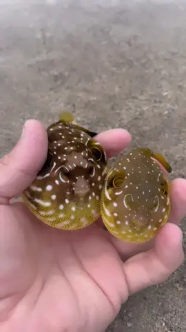 this will make you smile