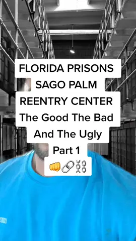 #greenscreen Sago Palm was a place like no other thats for damn sure 🤣🤣#excontoicon #sagopalm #prisontiktok #felon #palmbeach #florida #fyp #reentry