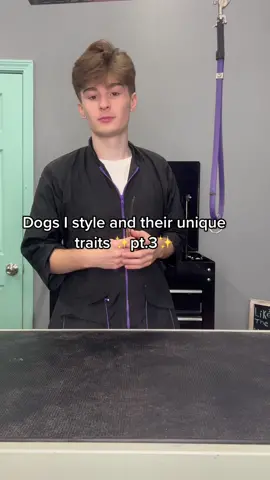 #doggrooming #dogsbylogan #funnydogs