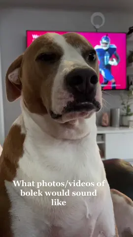 Bolek actually doesnt move off that couch