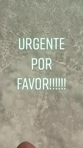 #Atencion #ayuda #Urgente #Emergencia  #salvar #salvarvidas #salvarplaneta #planet #SabiasQue #datoscuriosos #anecdotas #recuerdos #leydeatraccion #amorpropio #vida #vidareal #playa #mar #viral #lentejas #viajes #viaje #vacaciones #comedia #travel #traveltiktok #life #vegan #animales
