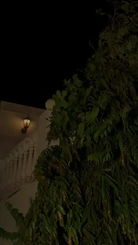 #قرآن #أجر_لي_ولك 💙