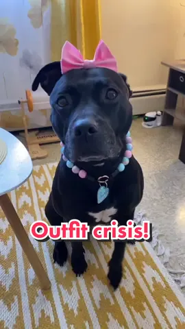 she can't pick an outfit for today!