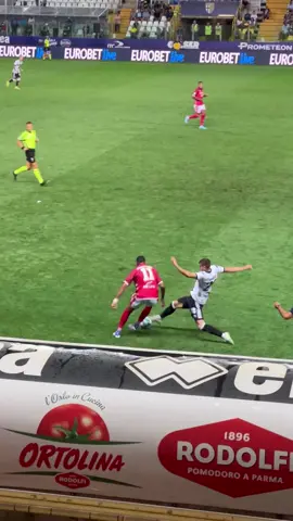 GUARDATELO TUTTO #perte #foryou 