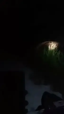 #เบอร์12 #มือใหม่หัดเล่น #หูเกือบแตก