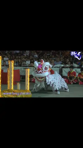 Wen  Yang Múa  Lân  Lên Mai hoa  Thung Có  Hồn  Nhất TikTok 😀 Singapore  🇸🇬