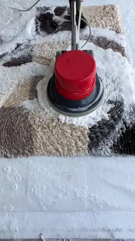 #asmr #satisfying #carpetcleaning 