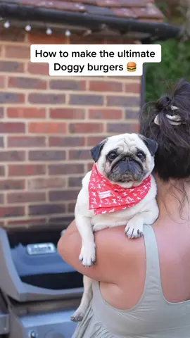 How to make the ultiMUTT Puggy burger using @butternutbox  🍔 #puggysmalls #dogsoftiktok #heatwave #dog #dogs