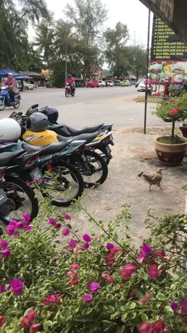 rxz4.0 terengganu #apachemaran #fyp #foryoupage