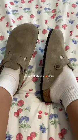 THEYRE PERFECT🥹 #birkenstocks #bostonclogs #fallshoes #birkenstockboston