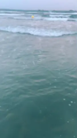 #foryoupage #fypシ #شابة صباح #ضريتني_و_لقلب_خرج_معاك_مخدوع💔🥺💔 #pourtoi