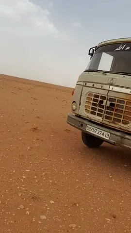 #حميان_ودراهم_بلميزان😉💪🏽 #نعامة45❤❣️😻 #تلمسان_13 #العريشة 💪