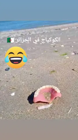 mdrrr sawaghith🤣🤣🤣🤣