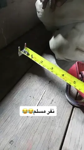 #اكسبلور #fyp #الشعب_الصيني_ماله_حل😂😂 #متابعيني_الغالين