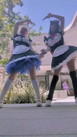 we were sweating balls istg #nekoparacosplay #roninexpo #NOTAFEMBOY #salvalcano #coolkidsoph #matoast #pp