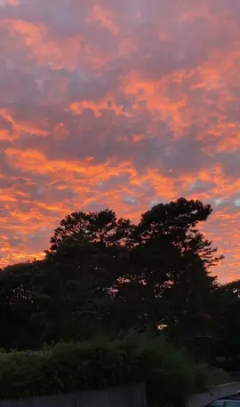 A calming break for 30 seconds 🤍                                    #timelapse #clouds #sunset #goldenhour