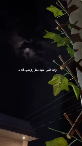 والله اني احبه مثل روحي غلاه. 💙#مكه #الطايف #viralvideos #سفر_الدغيلبي