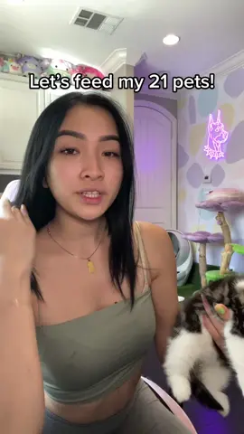 Let’s feed all of my 21 pets!🍽 #feedingroutine #pets #fy #fyp #foryou