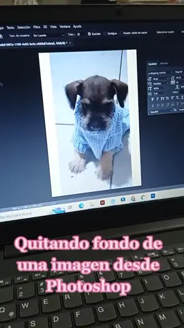 Quitando fondo de imagen desde Photoshop #AprendeEnTikTok #foryou #fyp #parati #diseño #diseñografico #tips #photoshop 