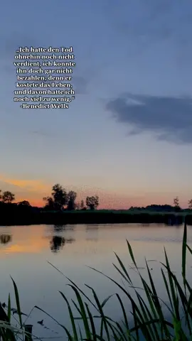 benedict wells zitate>>> #quotes #natur #trend #fy #fyp #fürdich #ästhetik #corememory #beauty
