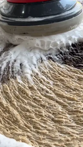 #carpetcleaning #satisfying #asmr 