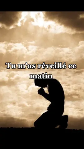 #pourtoi #Vivi_la_queen_officiel #fypシ #pière